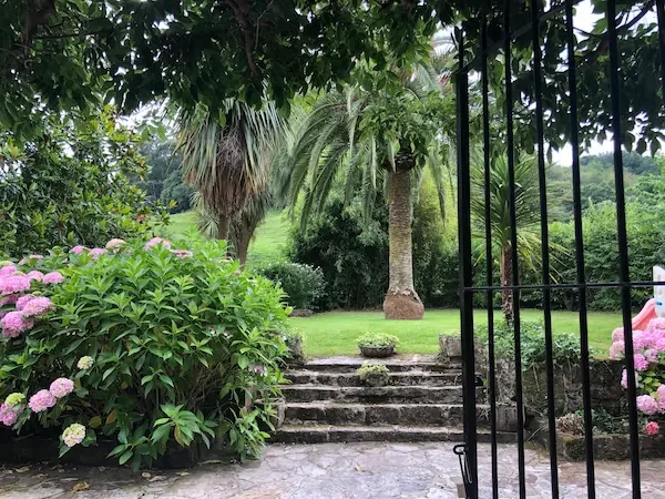 IMG_3106