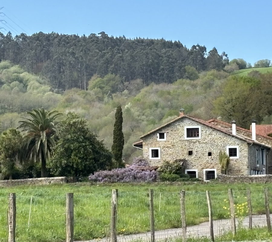 Vista exterior desde camino trasero