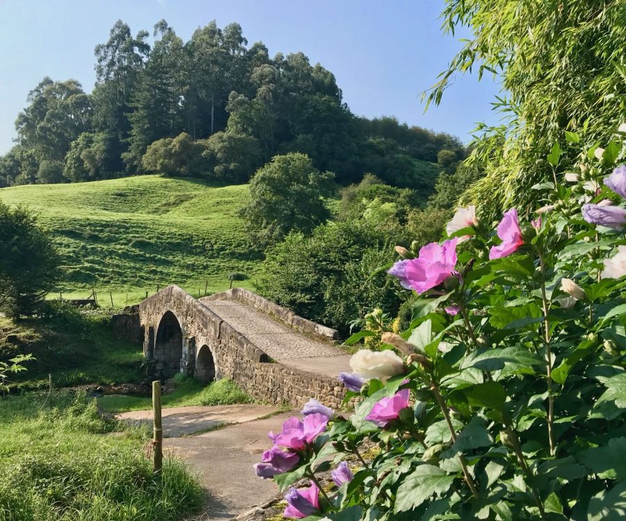 Vista puente y flores