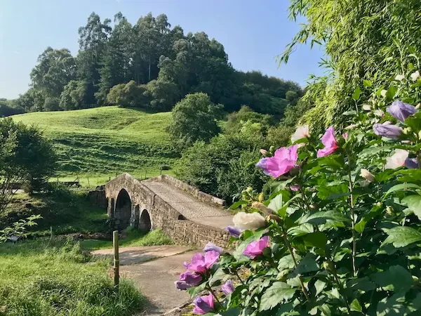 Vista puente y flores